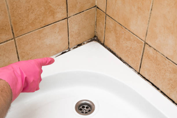 Best Home Mold Removal  in Pembroke, NC